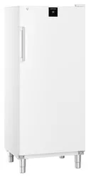 Liebherr FFFsg 5501 Performance Freestanding _3
