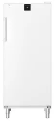 Liebherr FFFsg 5501 Performance Freestanding _4