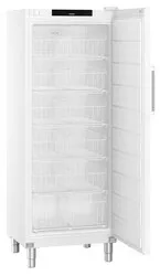 Liebherr FFFsg 6501 Performance Freestanding 