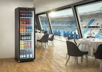 MRFvg 4011 Perfection Kühlgerät mit Umluftküh_8