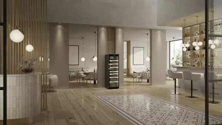 Liebherr WFbli 5241 Perfection Wine fridge Pr_9